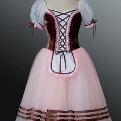 New Professional Dance Tulle Skirt Ballet Tutu Swan Lake Performance Costume Adult Puff Sleeve Ballet Skirt