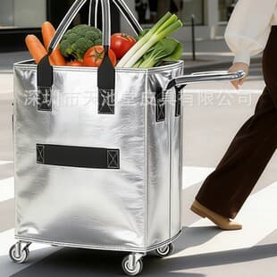 Haoken Carry-On Bag, PVC Coated Mesh Waterproof Travel Organizer, Trolley Bag, Pull Cart, Foldable, Portable Shopping