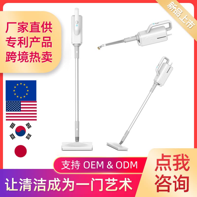 Manufacturer supplies cross-border household multi-functional steam cleaner, high-temperature sterilization and mite removal steam mop