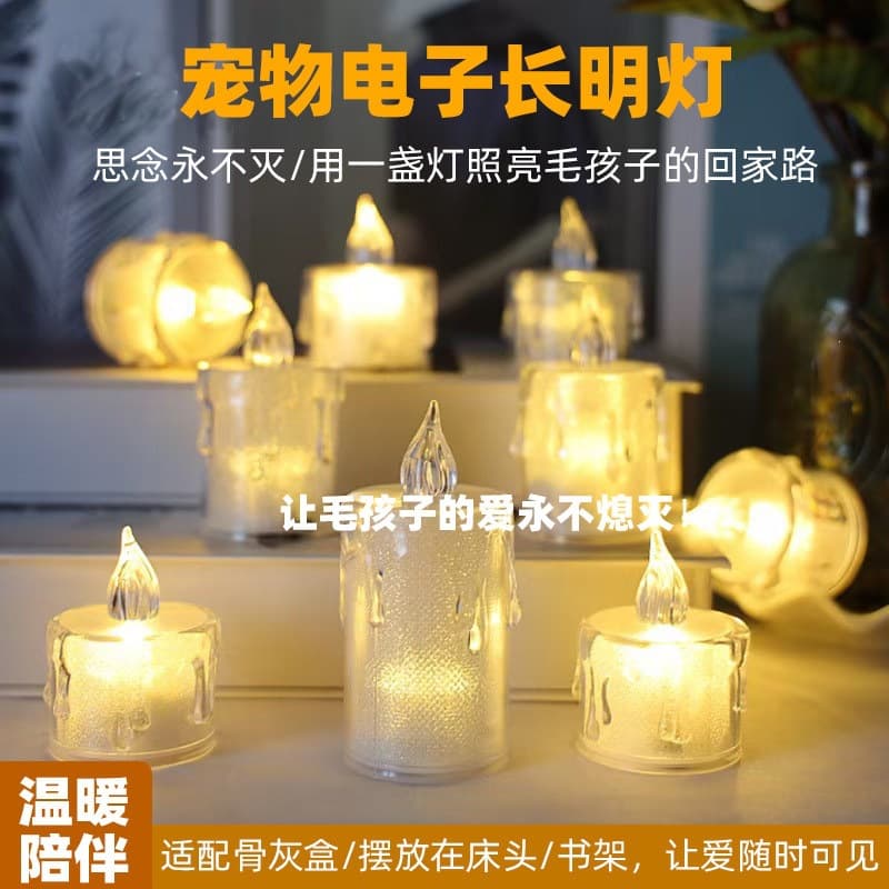 Pet Electronic Eternal Light Desktop Ornament Memorial Light for Departed Pet Dog Cat Gift