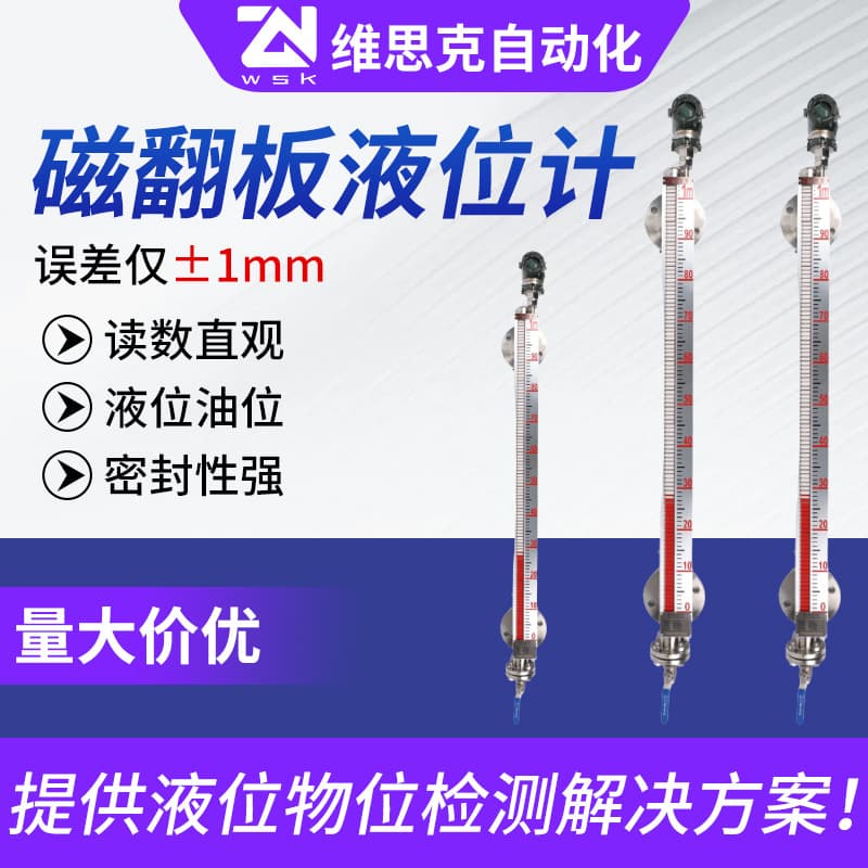 Stainless Steel Level Gauge with Magnetic Level Transmitter and Boiler-Compatible Remote Sensor