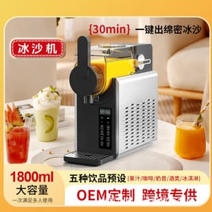 Snow Melting Machine Home Smoothie Maker Small Cold Drink Machine Milkshake Commercial Ice Cream Machine Automatic Ice Maker Slush Machine