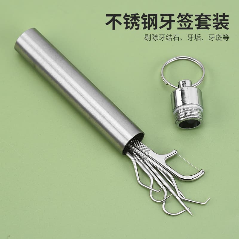 Manufacturer's In-Stock Stainless Steel Toothpick Set, Dental Floss, Tooth Cleaning Needle, Portable Storage Tube, Dental Care Tool