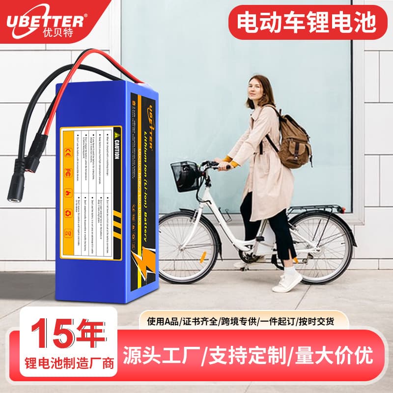 Customized Electric Vehicle Battery 36V 48V Electric Mountain Bike Bicycle Hailong Large Capacity Power Lithium Battery