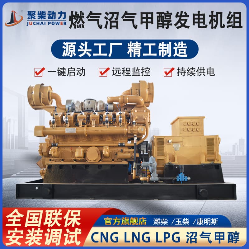 Farm Use 1000KW Biogas Generator Set Oilfield Wellhead Use 1000 Kilowatt Skid-mounted Gas Generator