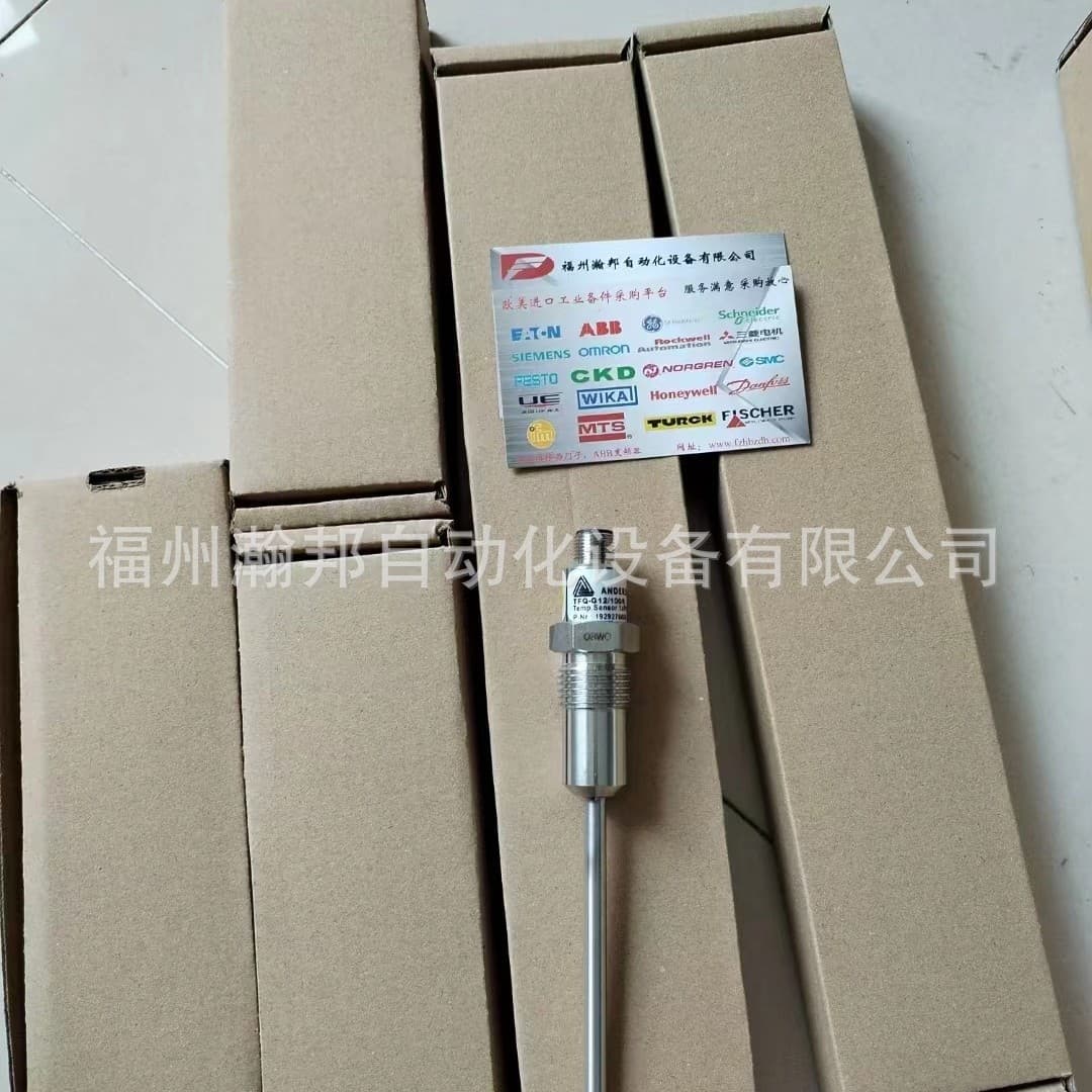 Temperature sensor / TFB-G01S0A56X0001VXA000 Anderson-Negele (negotiable)