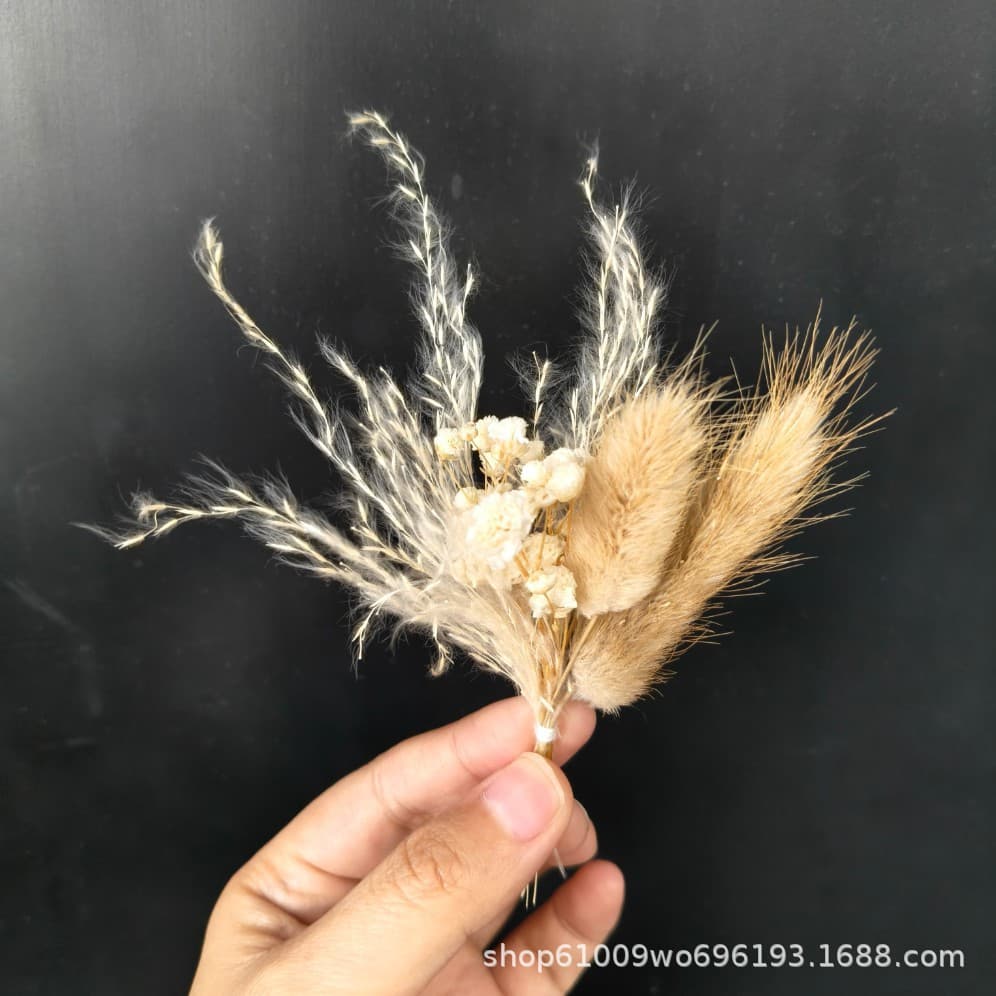 Setaria Small Fresh Natural Dried Flower Bouquet Everlasting Flower Retro Decorative Flower Decorative Accessories Gift Box Mini Flower