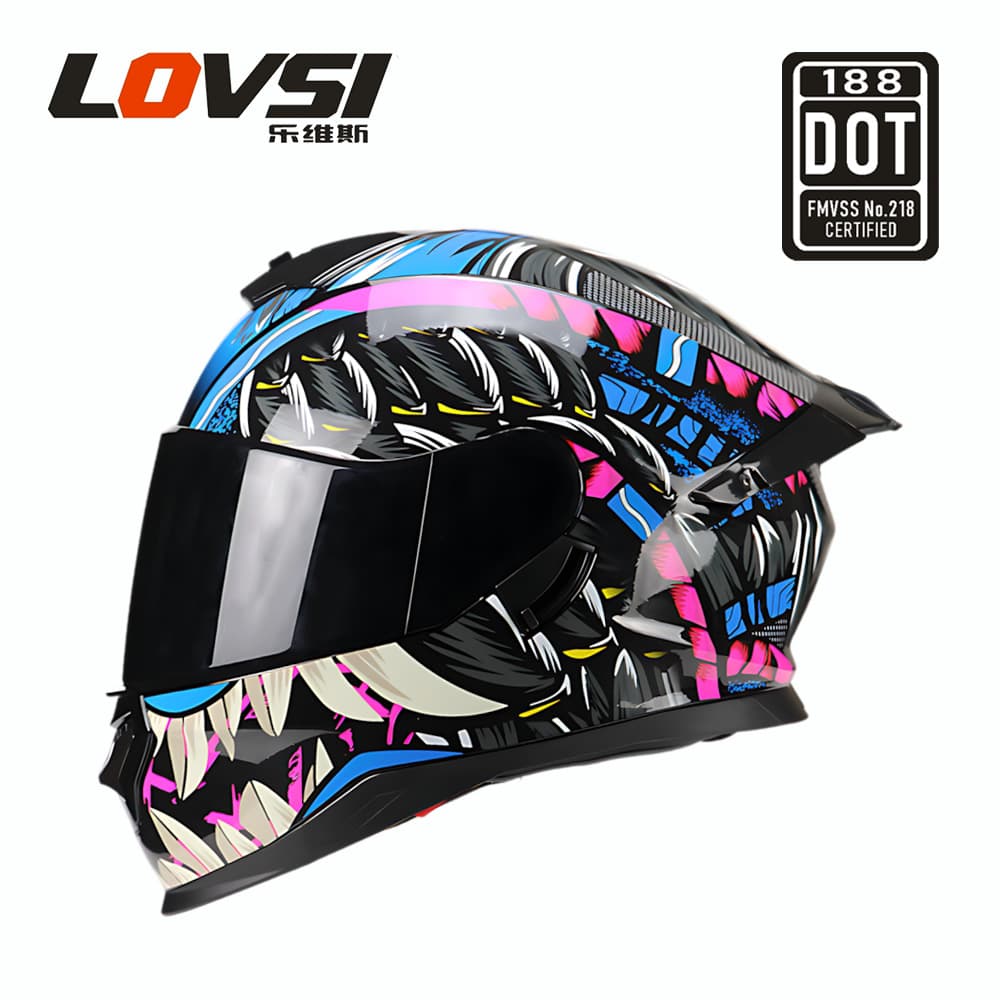 Motorcycle Helmet DOT Certified Full Face Helmet Men Women All Season Dual Visor Winter Riding Helmet