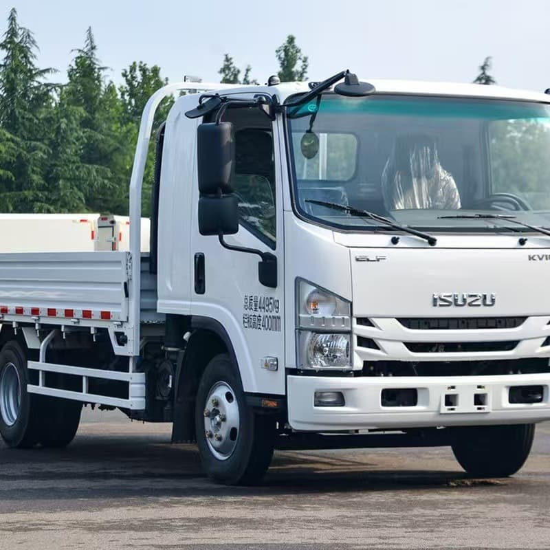 Cross-border Export National VI Isuzu Blue Plate 4.2m Transport Dump Truck 4m 2 Cargo Box Small Truck