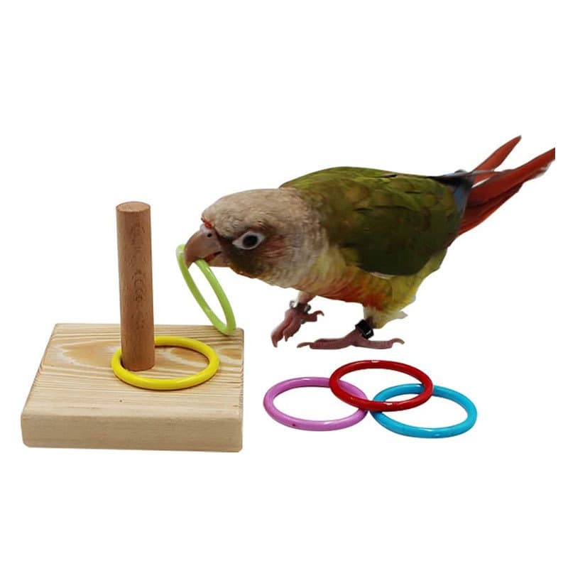 Parrot Intelligence Training Bite Interactive Bird Supplies Tools Ring Bird Toys Set For Parrot Birds
