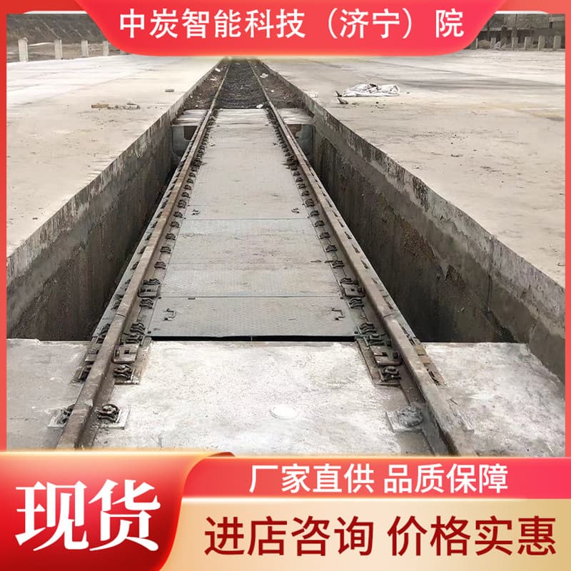 Wide application range, long service life track scale, stable performance track scale, track scale