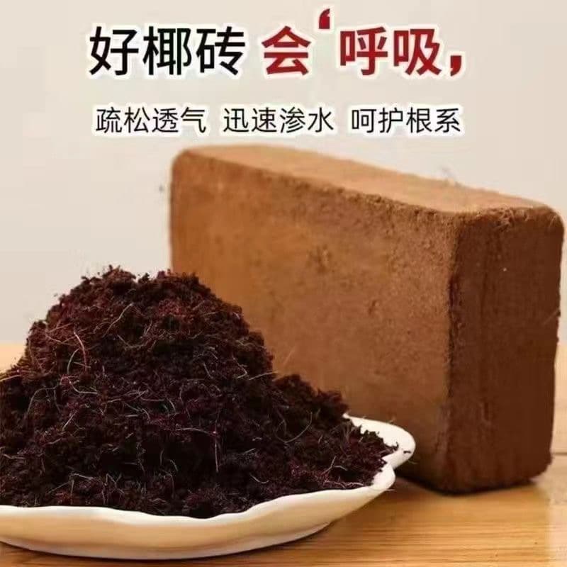 Coconut Brick Nutrient Soil Universal Coconut Coir for Flower Cultivation, Plant Soil, Vegetable Garden, Succulent Soil, Planting Soil Wholesale