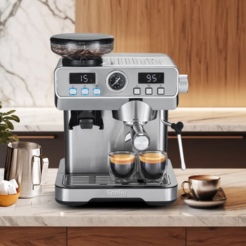 Tenfly Tenmeijia Cold Brew Coffee Maker Hot and Cold Dual Extraction Grinder Integrated Italian Small Semi-Automatic CM-301
