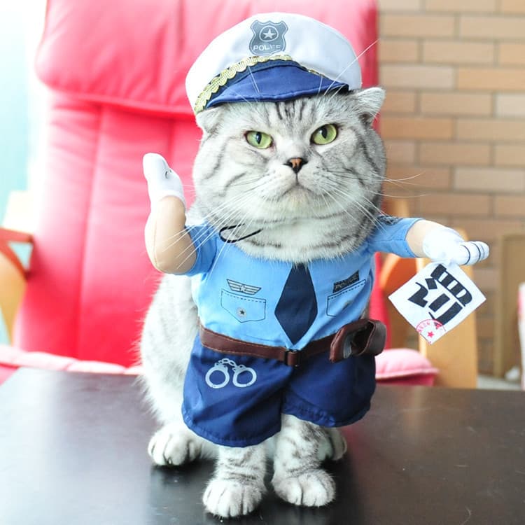 Halloween Pet Supplies Cute Funny Silly Cat and Dog Costume 3D Transform Outfit