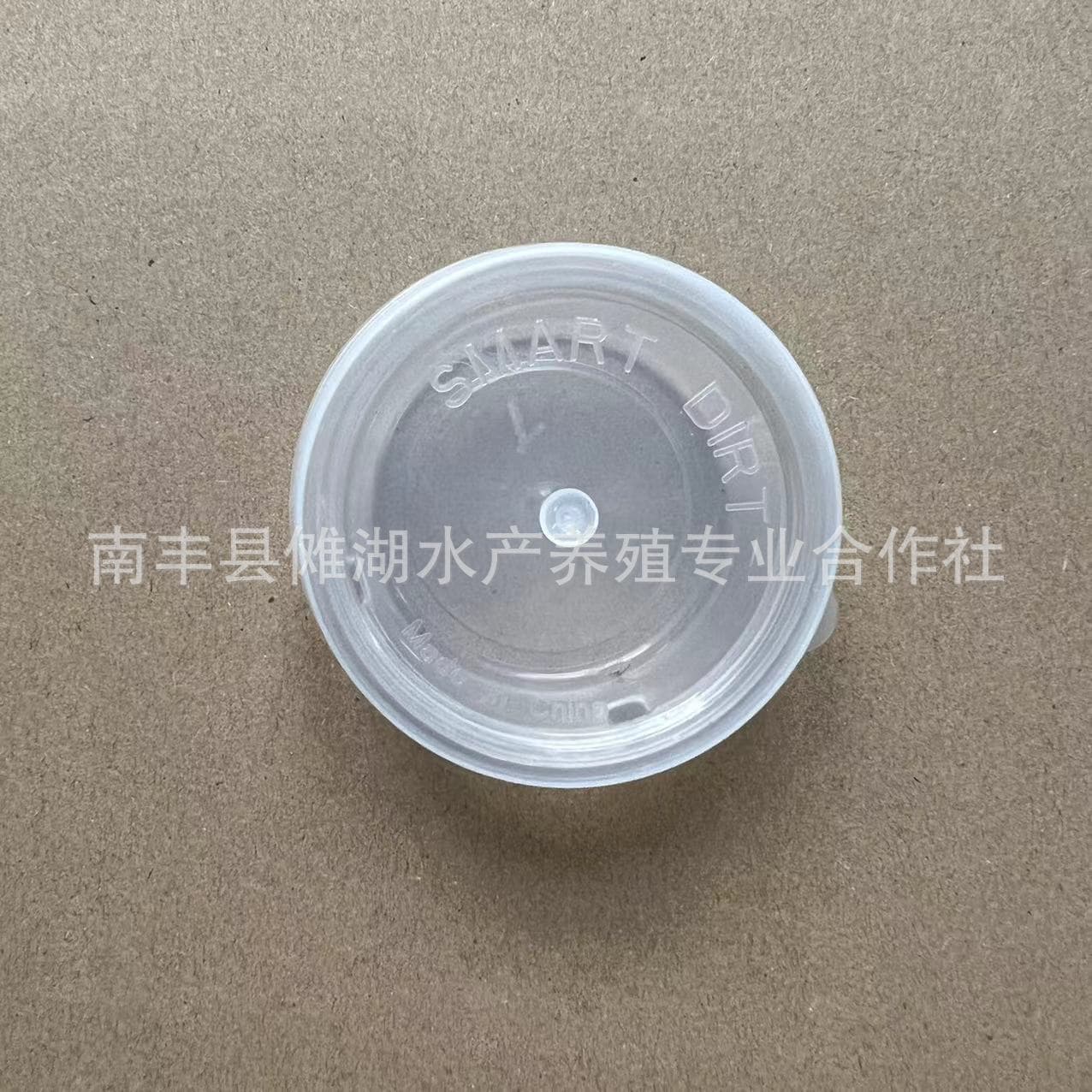 Small Turtle Box, Brazilian Turtle Box, Diameter 6.2 Height 2.6 Transparent Plastic Round Box with Lid