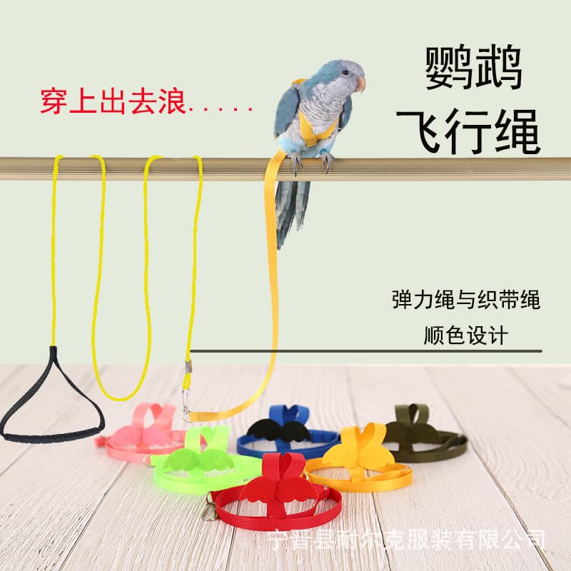 Parrot Flying Rope Elasticity Pekin Duck Leash Outdoor Bird Toy Parrot Harness Walk Bird Training Equipment Nylon Material