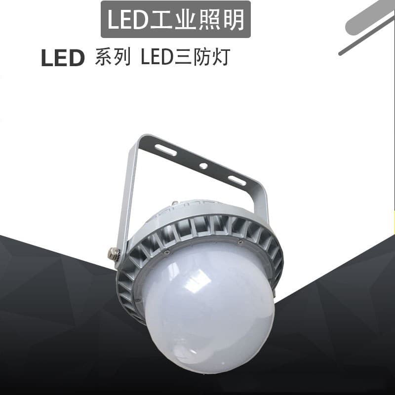 Senben FGV6216 LED maintenance-free waterproof and dustproof platform light, power plant light with smart control FGQ6215