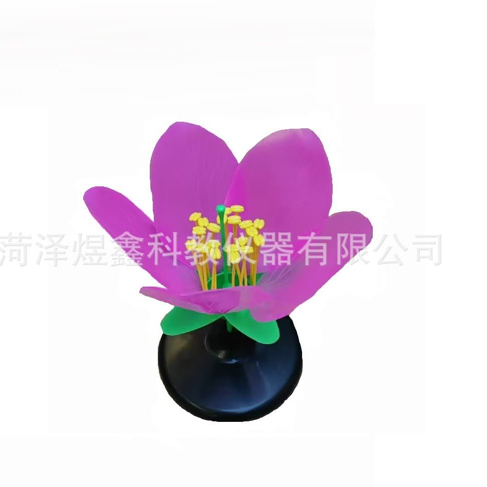 J33007 Peach Blossom Model - Biology Teaching Model - Peach Blossom Display Model