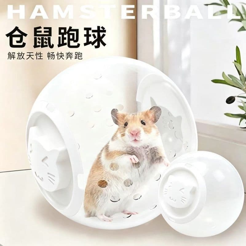 Small Hamster Run Ball Outdoor Exercise Toy Rolling Ball, Transparent Running Ball for Golden Bear, Dwarf Hamster, Gerbil, Exercise Wheel Ball Cage Accessories