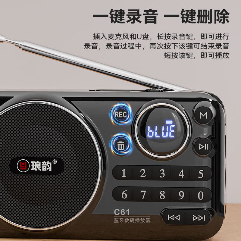 Langyun C61 Bluetooth Card-Insert Speaker Portable Senior Player Audio Amplifier Music Player