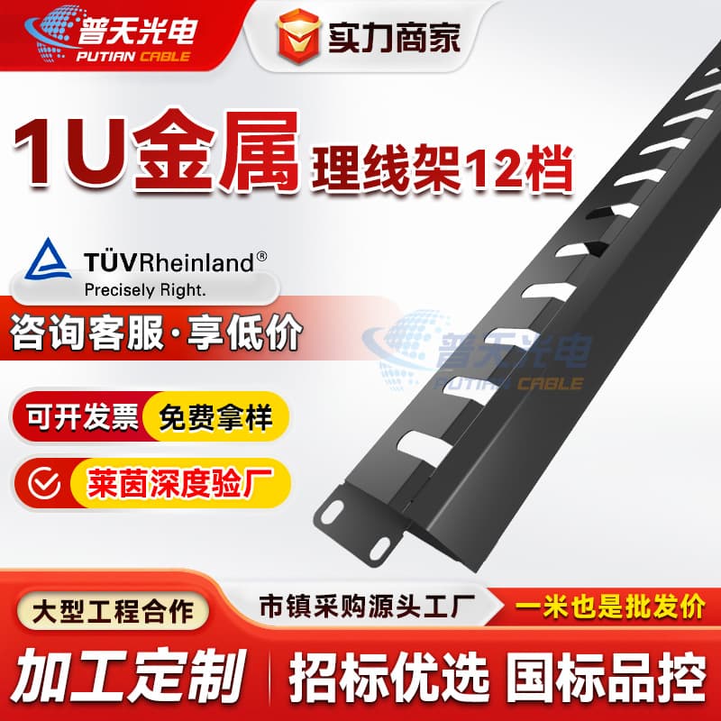 Custom-Made 12-Slot Cable Management Panel, 1U Cold-Rolled Steel Engineering Patch Panel, Rack Cable Organizer