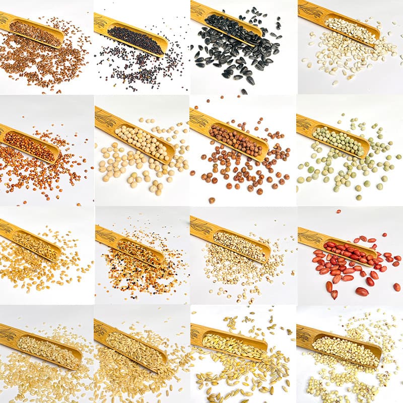 Selected Bird Food, Parrot Food, Pigeon Food, Pet Bird Food One-Stop Distribution, Drop Shipping