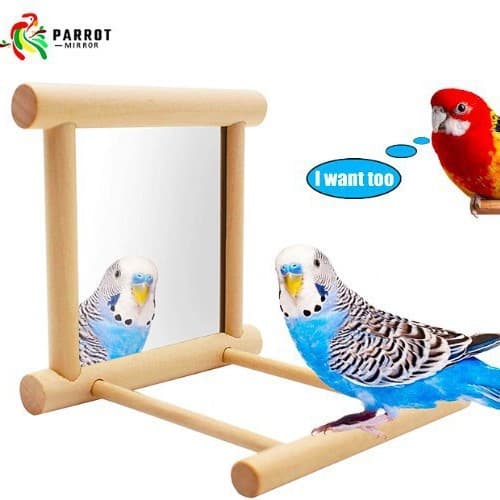 Small to Medium Parrot Supplies, Parrot Bell Toy, Bird Mirror, Perch and Stand Accessories for Bird Cage