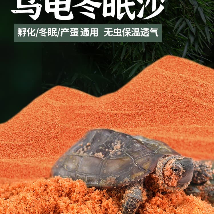 Turtle Hibernation Sand, Turtle Tank Landscaping Sand, River Sand for Turtles, Brazilian Turtle, Grass Turtle Winter Supplies Sand