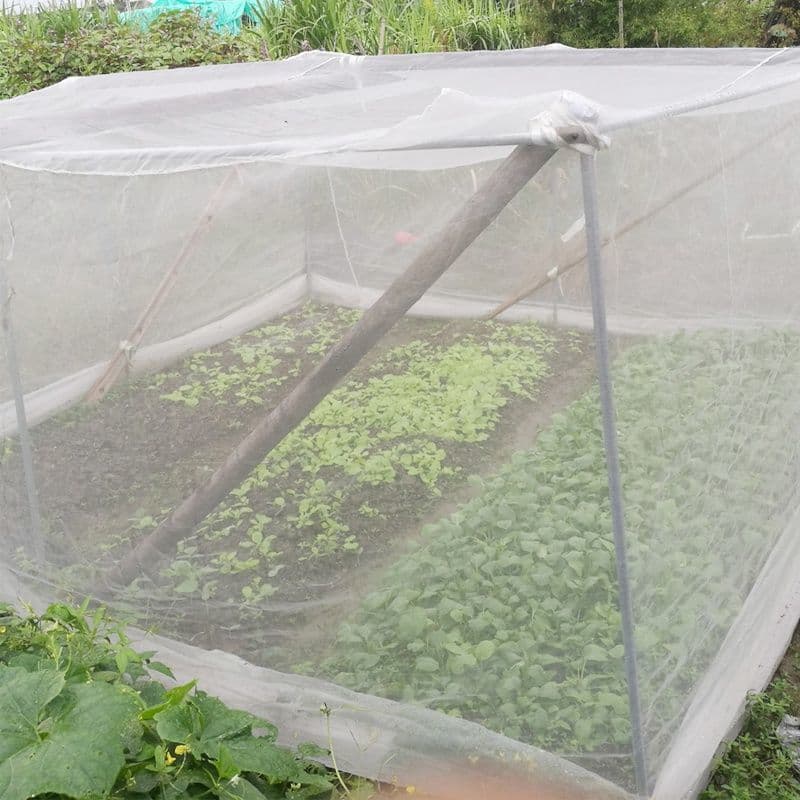 Agricultural insect net thickened white screen net orchard vegetable greenhouse vegetable plot farm mosquito insect fruit fly needle fly small bird prevention.