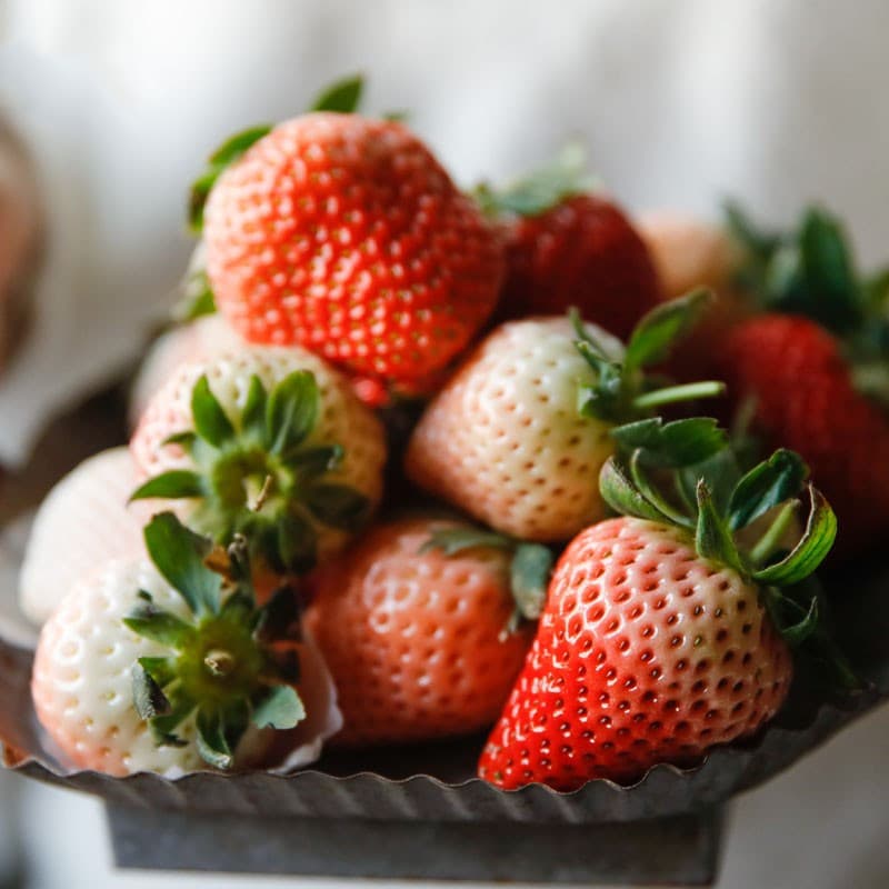 Four-season strawberry seedlings for balcony planting in northern and southern regions, fruit-bearing same year, cream and red face strawberry seedlings potted