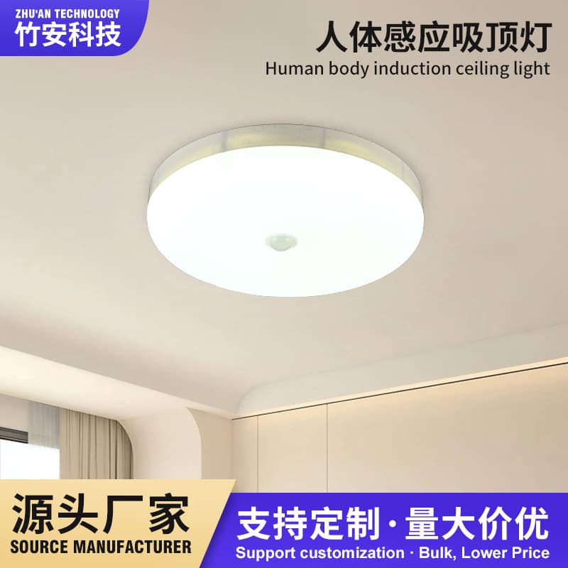LED Human Body Sensor Ceiling Light, Simple Radar Sensor Ceiling Light for Kitchen, Living Room, Hallway, Smart Induction Light