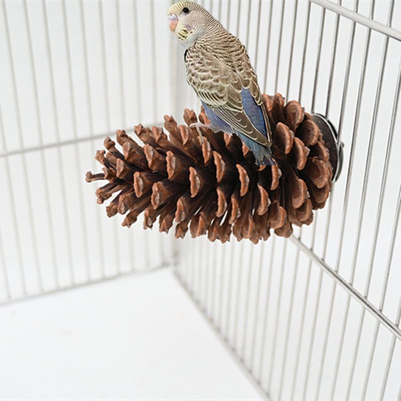 Bird toys, parrot pine cone standing stick, molar chewing standing stick, bird cage pendant decorative supplies bird toys