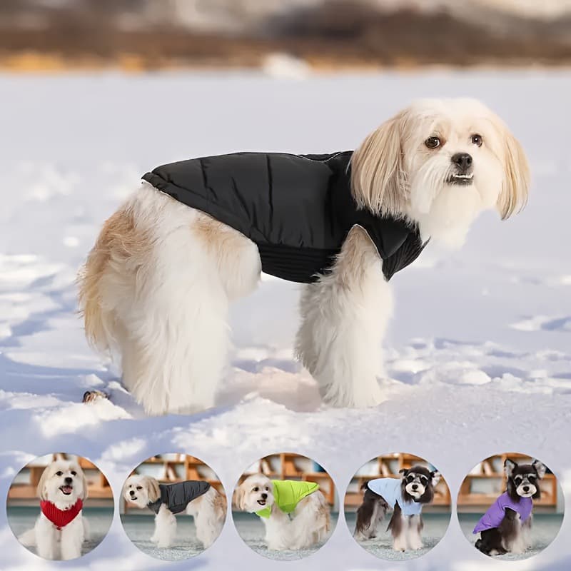2026 New Cross-Border Dropshipping Winter Waterproof Pet Dog Jacket