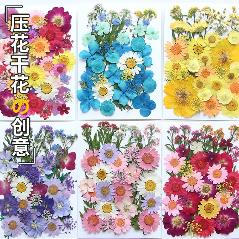 Pressed Flower Craft Kit for Nail Art, Resin, DIY Projects, Parent-Child Activities, Handmade