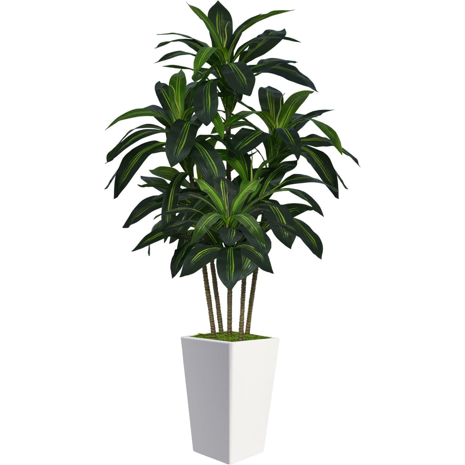 Artificial Green Plant Brazil Iron Tree Faux Dragon Blood Tree Indoor Fake Tree High Simulation Plant Home Office Decoration