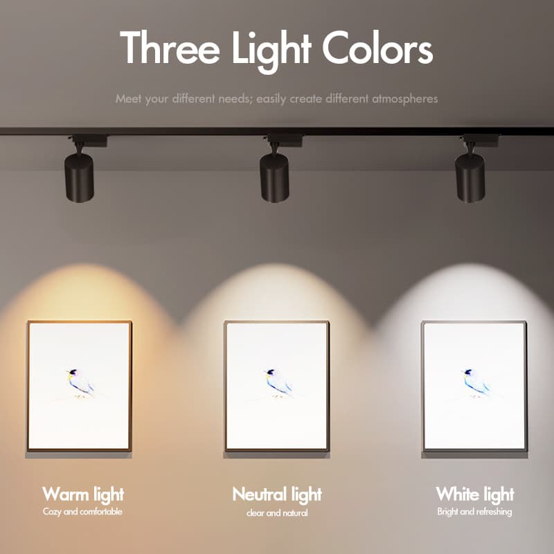 Clothing Store Track Spotlights LED Lights Commercial
