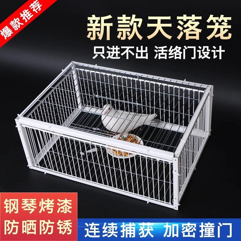 Outdoor Household Roof-Mounted Pigeon Cage with One-Way Entry and Exit, Automatic Door for Racing Pigeons, a Device for Getting Pigeons In and Out