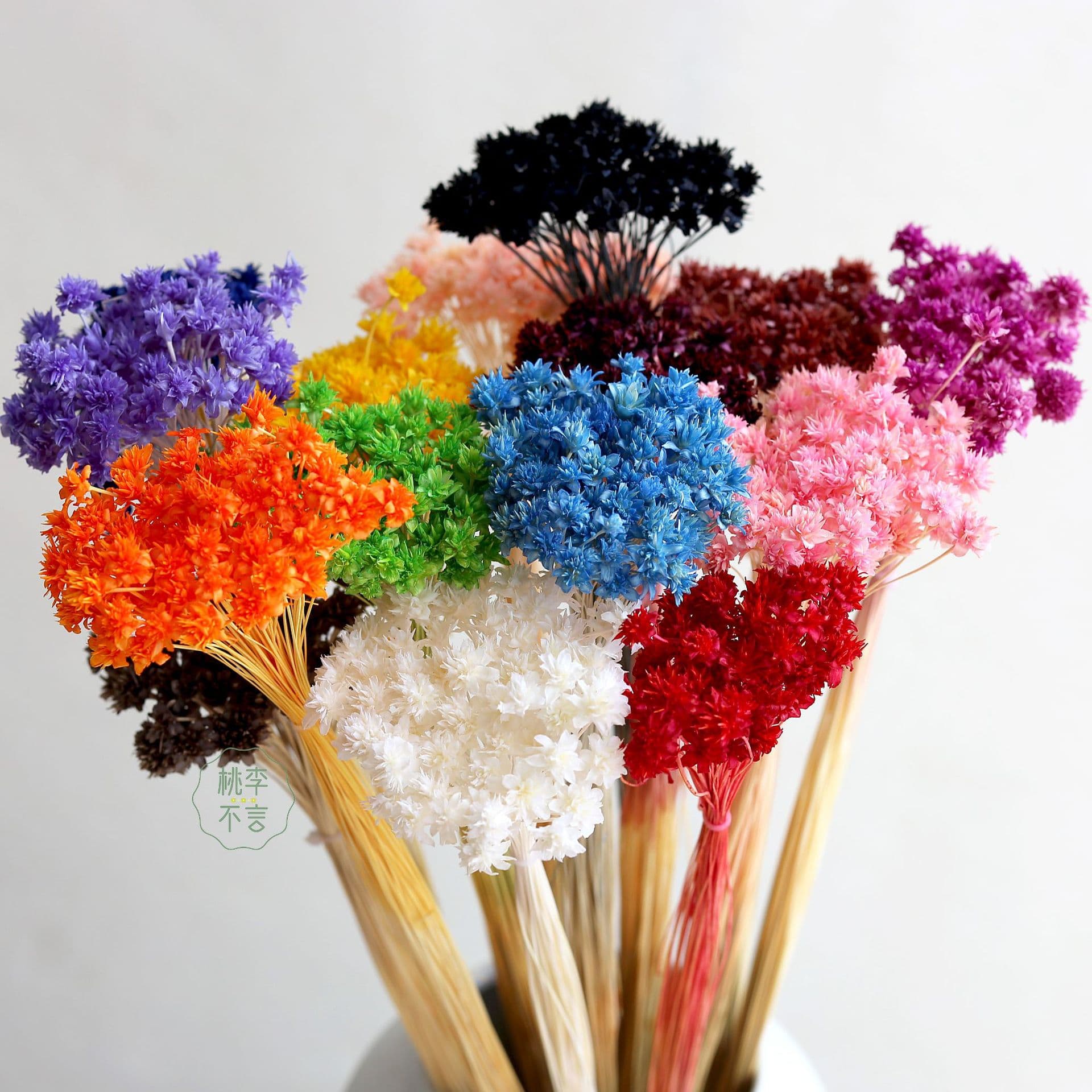 Xiaoshan Flower Preserved Dried Flower Bouquet Wholesale Brazilian Baby's Breath Real Flower Handmade DIY Aromatherapy Ring Material Kit