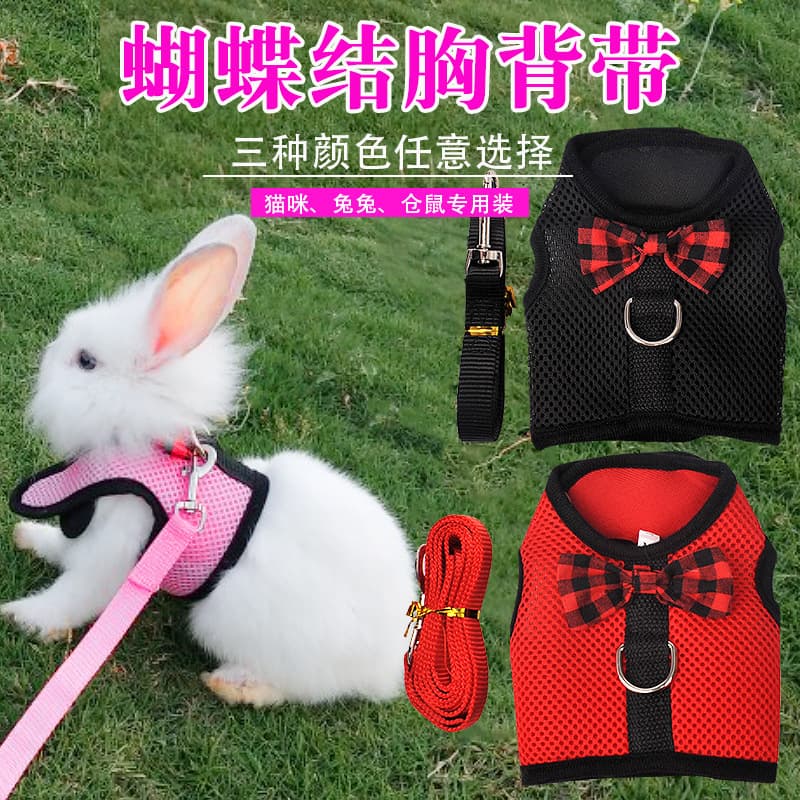 Pet Traction Belt Rabbit Guinea Pig Squirrel Traction Rope Vest Breathable Mesh Chest Strap