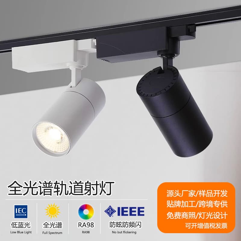Changling photoelectric track light 30w high CRI spotlight cob rail light window supermarket chain lighting led light