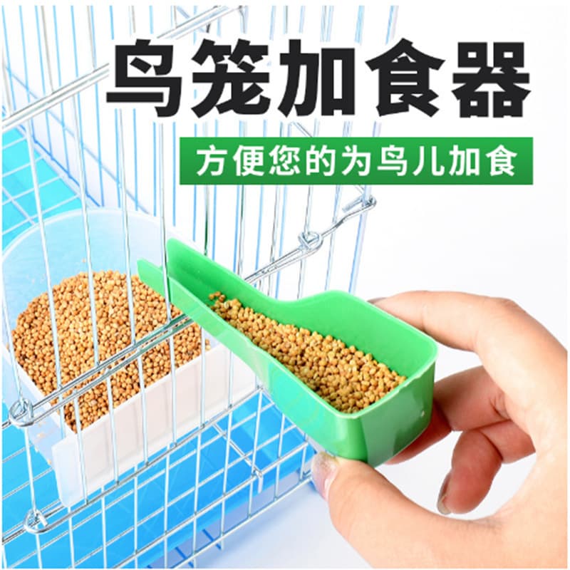 Stainless Steel Bird Feeder Spoon, Bird Food Scoop, Water and Food Dispenser, Birdcage Accessories