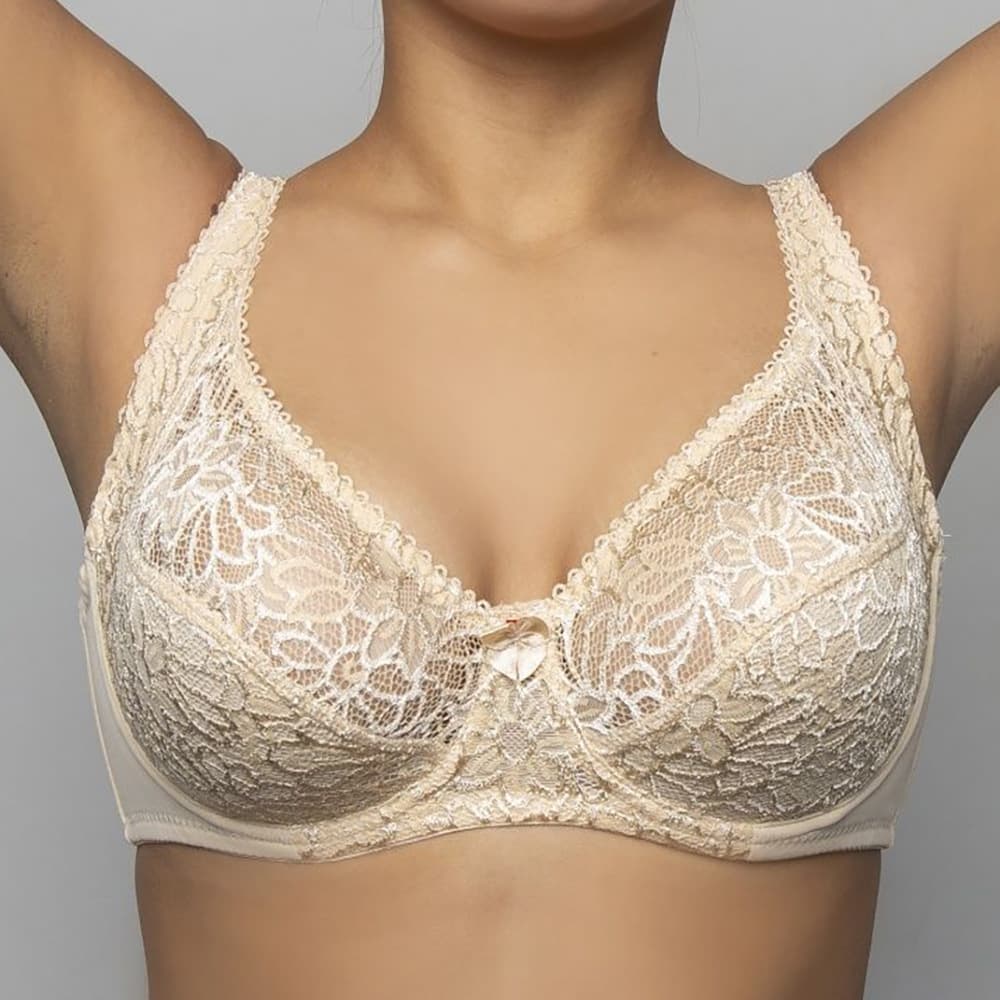 Thin Lace Full Cup Plus Size Hot Sale South America Europe West Asia Customizable Version Custom Plus Size 3/4