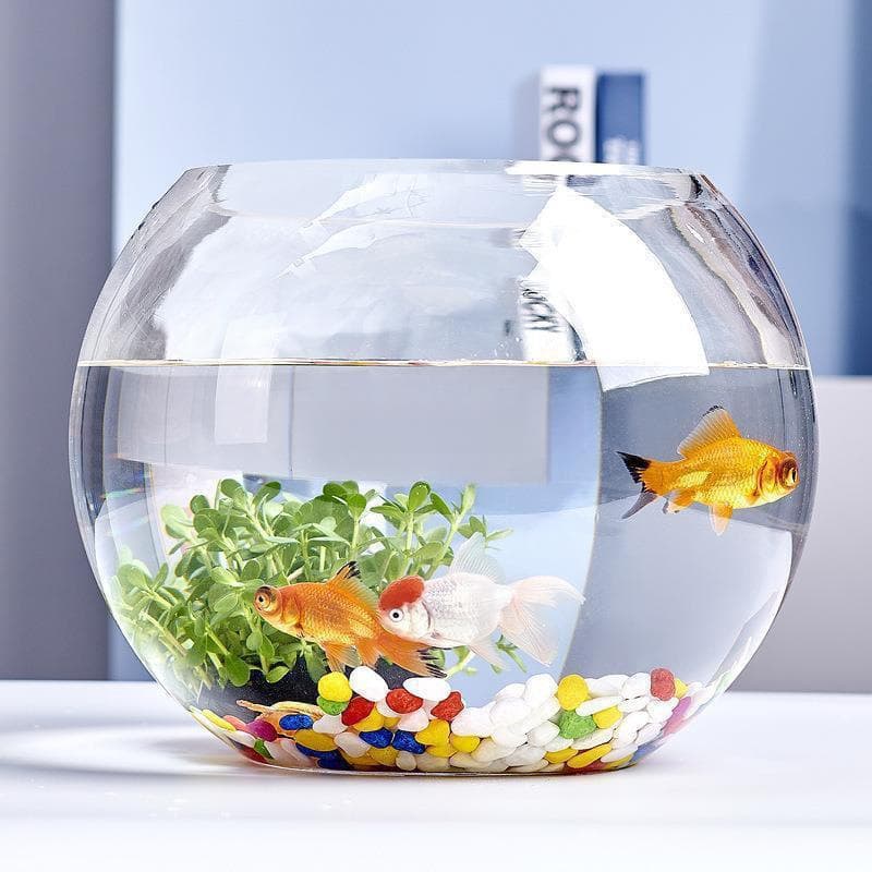 Office Desk Glass Fish Bowl, Goldfish Tank, Aquarium, Small Desktop Turtle Tank, Transparent Round Home Decoration