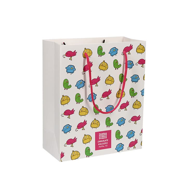 Cheap Gift Packaging Shopping Paper Bags with Ribbon Handles for Small Business