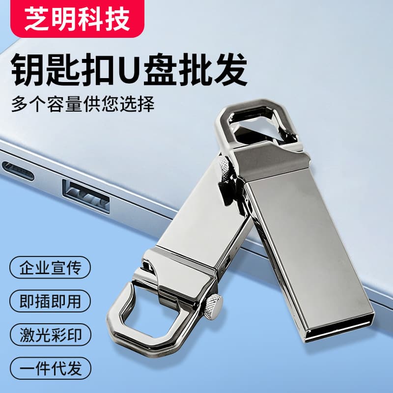 V250 Metal Creative Keychain USB Flash Drive 4G 8G 16G 32GB Gift Event Exhibition Gift Wholesale LOGO USB Drive