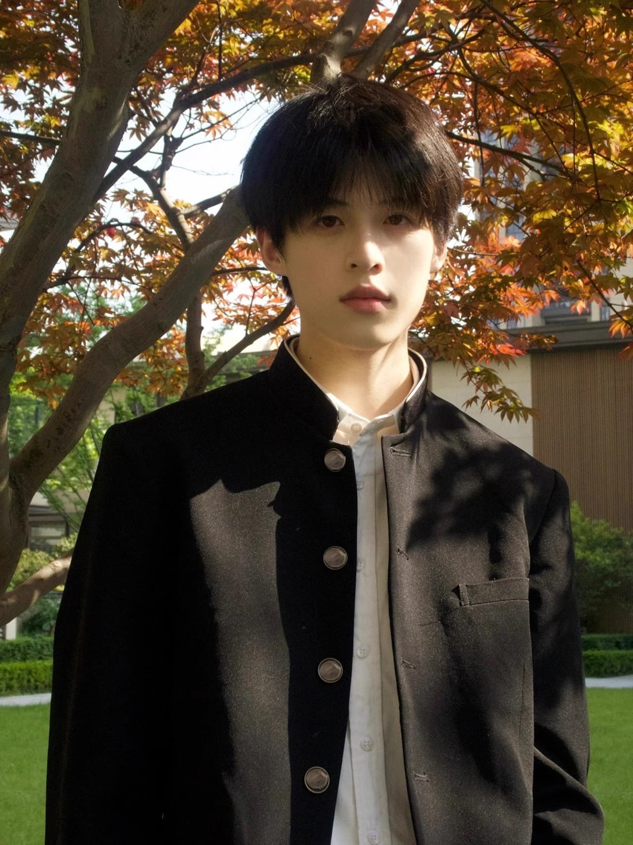 New Chinese-style Zhongshan suit button suit jacket men's wear, cool spring and autumn casual Chinese-style stand-up collar suit jacket trendy.