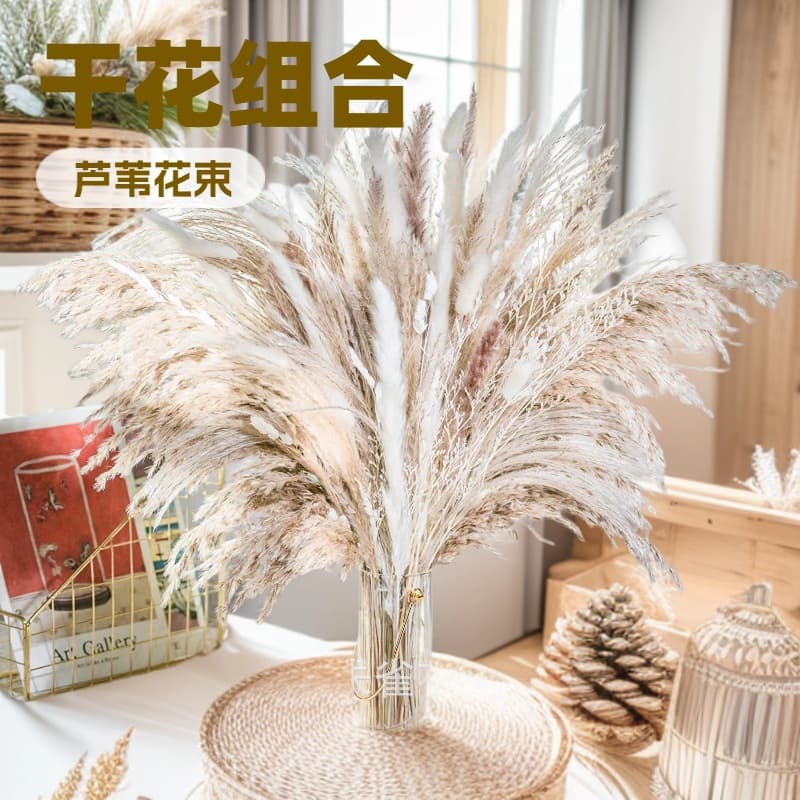 Yunnan Dried Flower Bouquet Small Reed, Fairy Grass, Bunny Tail Grass, Pampas Grass 80 Stems Set