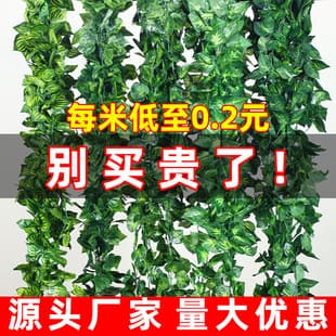 Artificial Rattan Green Plant Vine Pipe Decorative Cover Greenery Strip Store Decoration Faux Grape Leaf Vine
