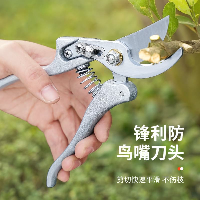 Pruning Shears, Branch Scissors, Floral Scissors, Carbon Steel Fruit Tree Gardening Scissors, Special Flower Scissors for Arranging and Cutting Branches