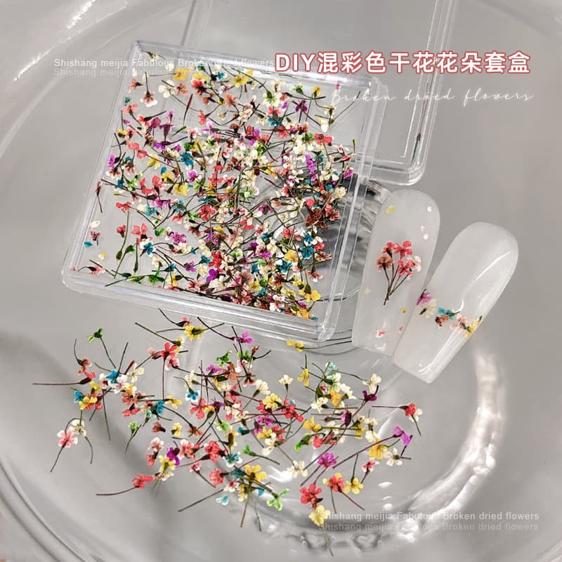 New Cross-Border Dried Flower Nail Art Mix Baby's Breath Colorful Small Flower Nail Decoration DIY Accessories
